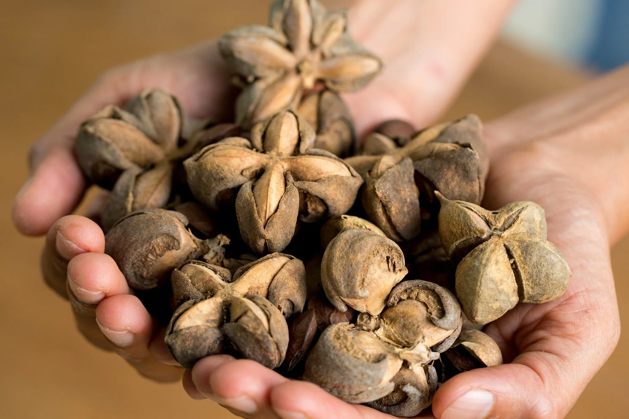 Women's Month: Creating opportunities with co-founder of Bioincos, Yuli Rodríguez