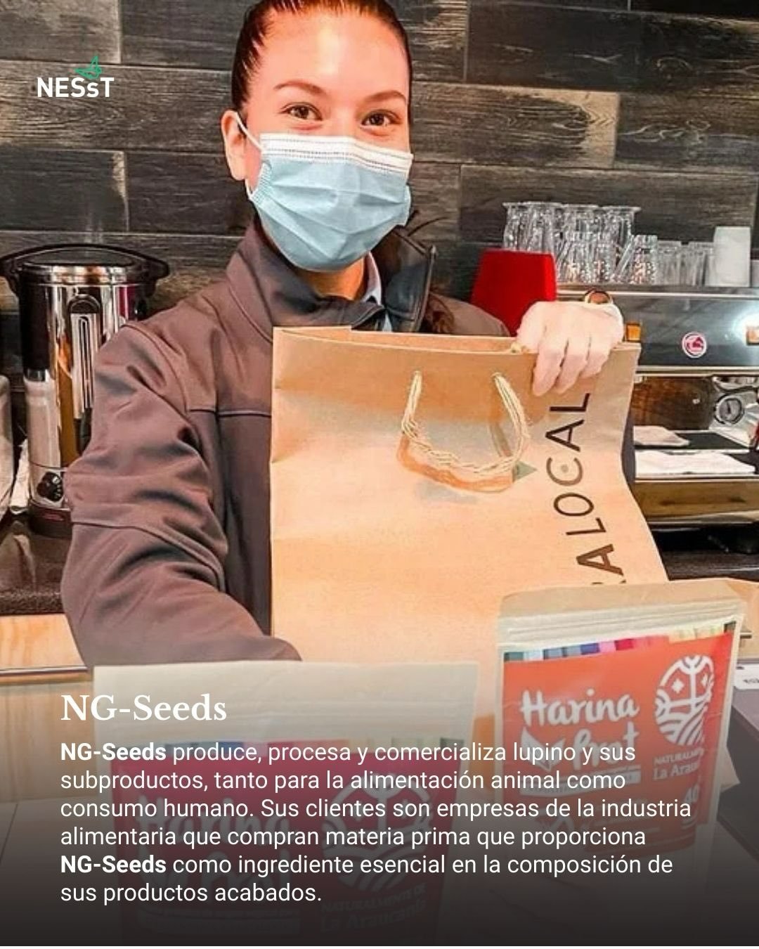 👉El impacto no es teoría. Es acción.
NG-Seeds una prueba concreta de cómo una empresa social que forma parte de la cartera de NESsT Chile puede crecer, fortalecer comunidades y cambiar la forma en que producimos alimentos