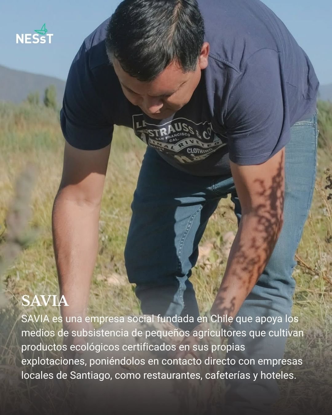 Hay algo que no cuadra: quienes producen nuestros alimentos suelen vivir en la pobreza.

SAVIA ha venido a cambiar esa lógica. 🌾✨

Esta empresa social pone en contacto directamente a pequeños agricultores ecológicos con restaurantes