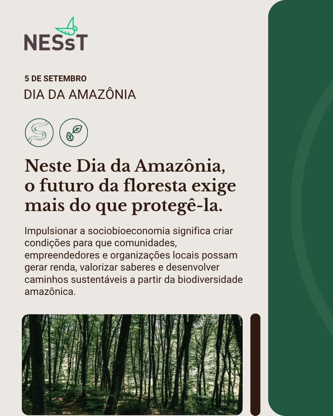 Neste Dia da Amaz&ocirc;nia, celebramos a floresta a partir de quem vive, produz, empreende e constr&oacute;i futuro em seus territ&oacute;rios.

Em um momento em que o avan&ccedil;o da crise clim&aacute;tica torna a resili&ecirc;ncia da Amaz&ocirc;n