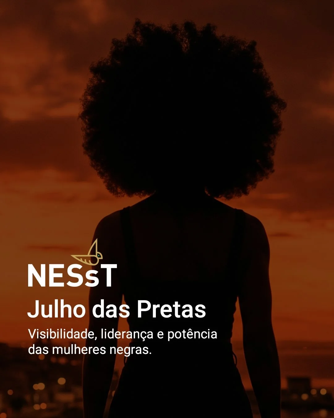 Julho das Pretas &eacute; uma mobiliza&ccedil;&atilde;o que celebra a trajet&oacute;ria, a lideran&ccedil;a e as contribui&ccedil;&otilde;es das mulheres negras para a constru&ccedil;&atilde;o de uma sociedade mais justa.

Na NESsT, esse compromisso 