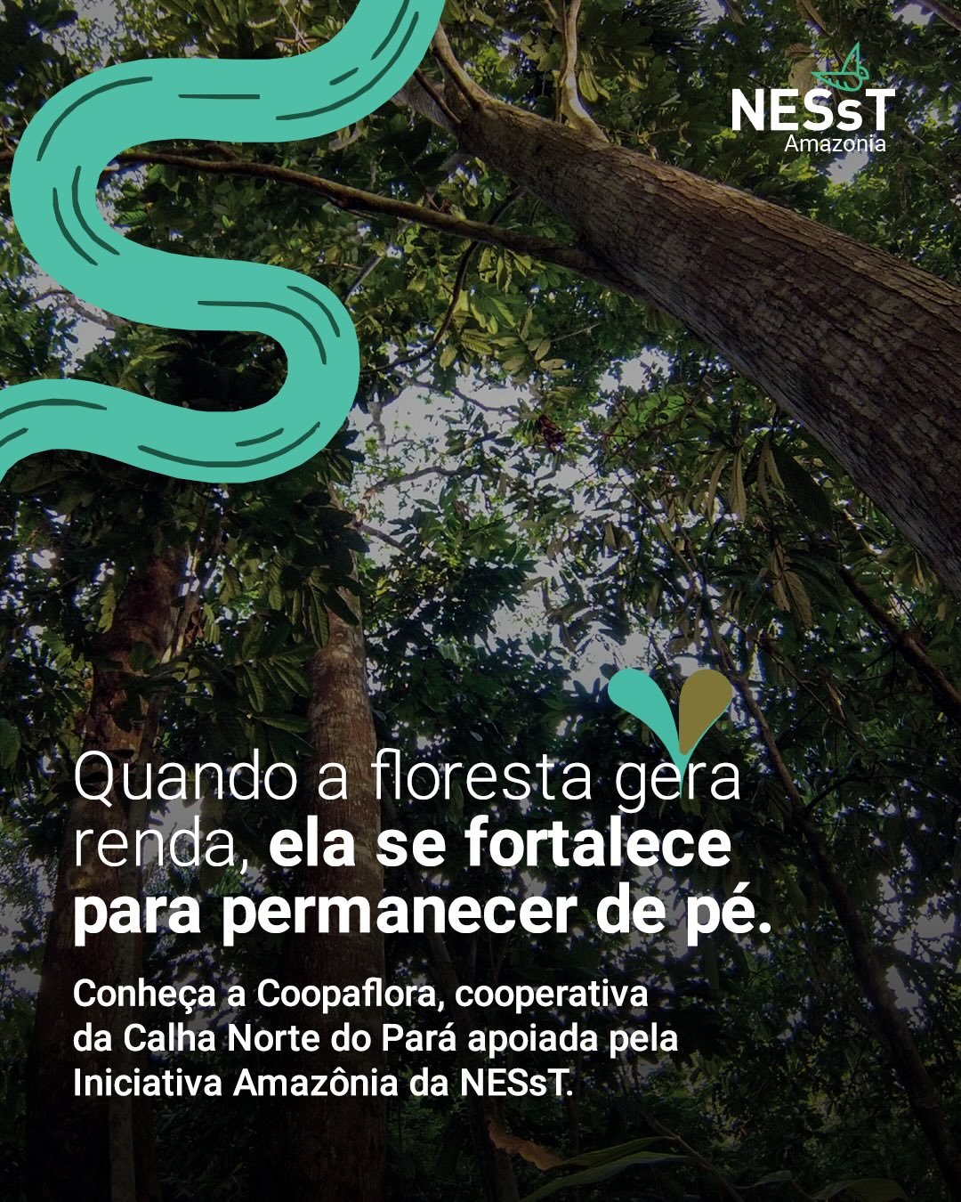 Quando a floresta gera renda, ela permanece de p&eacute;.

Na Calha Norte do Par&aacute;, a Coopaflora re&uacute;ne fam&iacute;lias coletoras de territ&oacute;rios ind&iacute;genas, quilombolas e comunidades tradicionais para fortalecer cadeias pro
