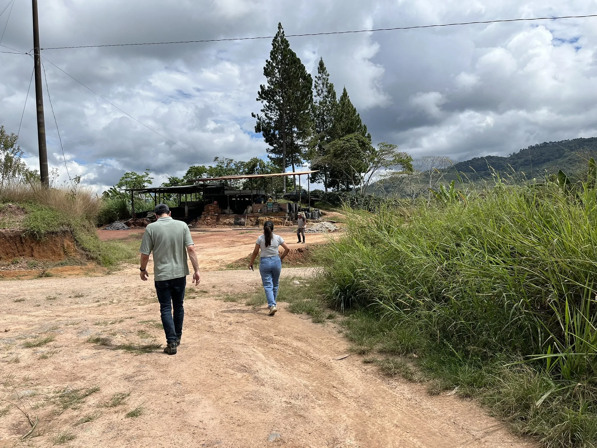 Walking the Supply Chain: What I Learned from Coffee Cooperatives and Agribusinesses in Junín, Peru