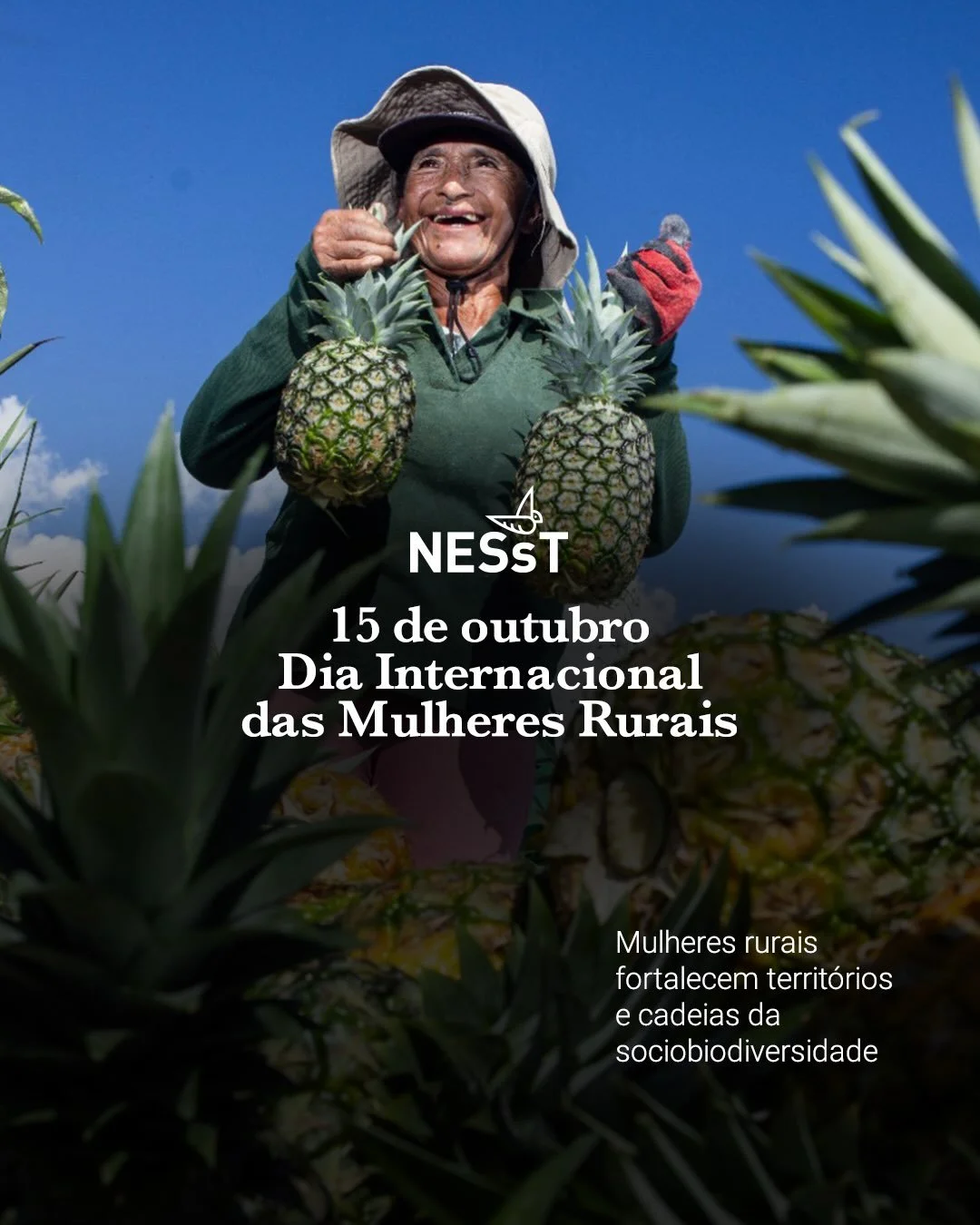 Mulheres rurais t&ecirc;m um papel central na constru&ccedil;&atilde;o de economias locais mais inclusivas, na gera&ccedil;&atilde;o de renda e no fortalecimento das cadeias da sociobiodiversidade.

No Dia Internacional das Mulheres Rurais, destacamo