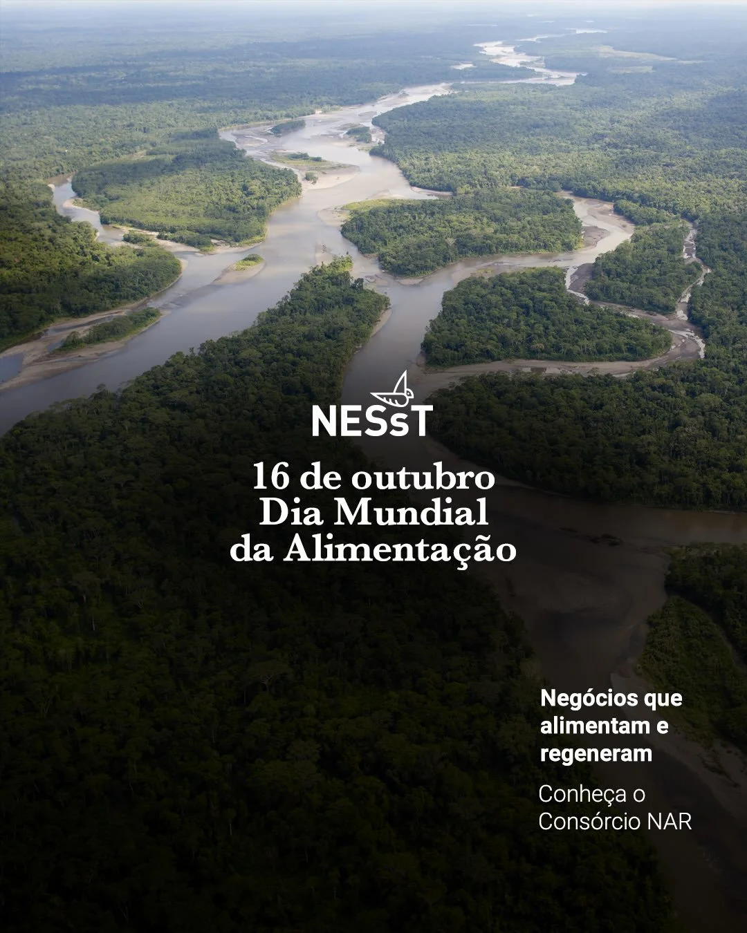 Neste Dia Mundial da Alimenta&ccedil;&atilde;o, olhamos para o que &eacute; necess&aacute;rio para que a produ&ccedil;&atilde;o de alimentos tamb&eacute;m fortale&ccedil;a quem vive e trabalha nos territ&oacute;rios.

Na Amaz&ocirc;nia e em outras re