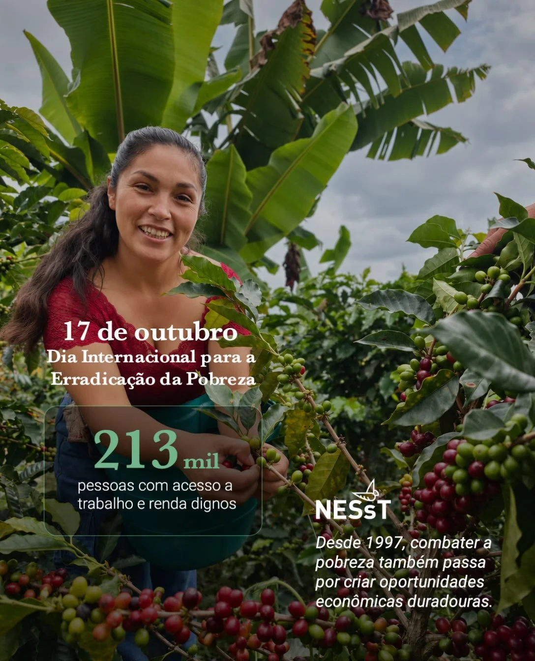 Erradicar a pobreza exige oportunidades econ&ocirc;micas que se sustentem ao longo do tempo.

Por isso, a NESsT apoia neg&oacute;cios de impacto que geram trabalho digno, fortalecem cadeias produtivas e abrem mercados para pessoas historicamente excl