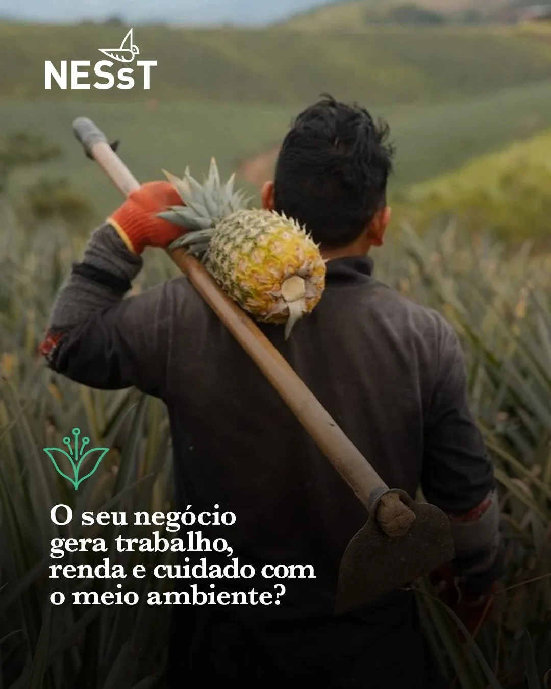 O que é impacto? 🌱

Impacto é a mudança positiva que uma empresa promove na vida das pessoas e no meio ambiente, além do lucro. Pode ser trabalho e renda dignos para quem mais precisa, cuidado com a floresta, a &aac