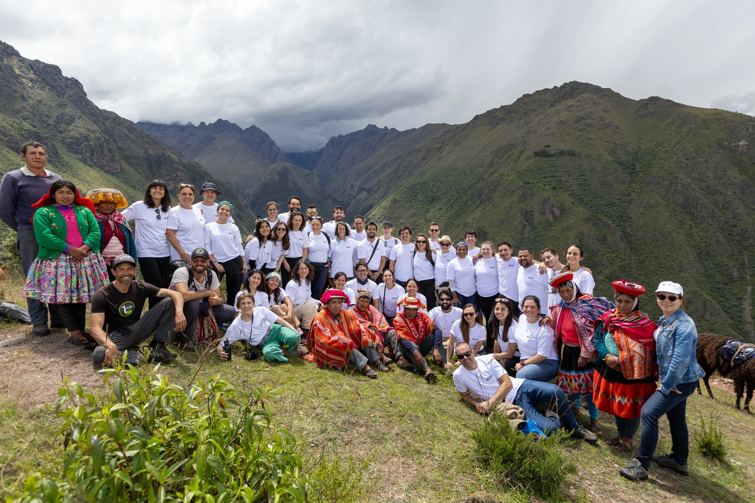 53680929029_95c5e83a99_ojpg