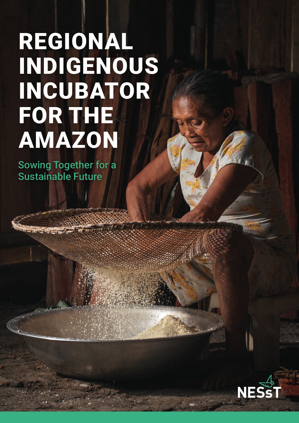 Regional Indigenous Incubator for the Amazon | NESsT