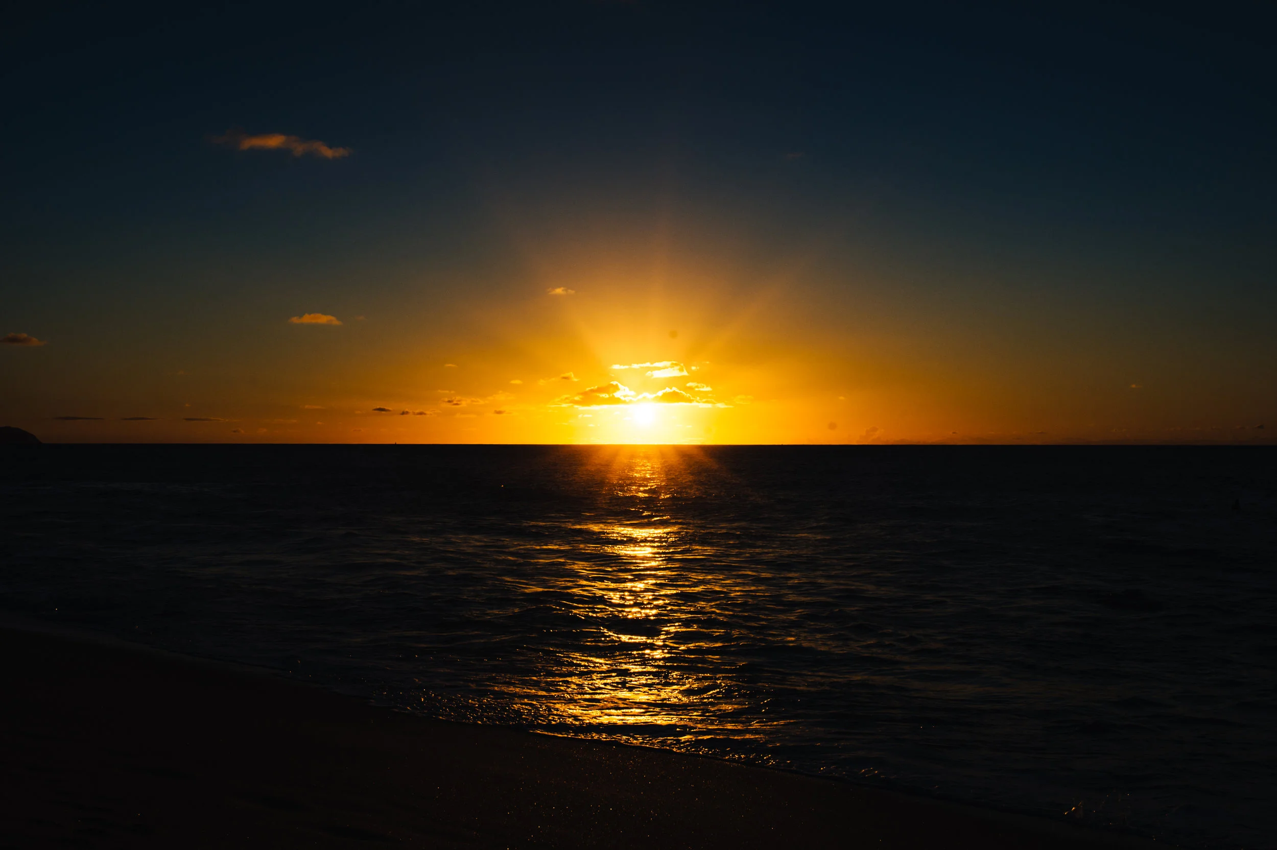 DSC_7690-1.jpg