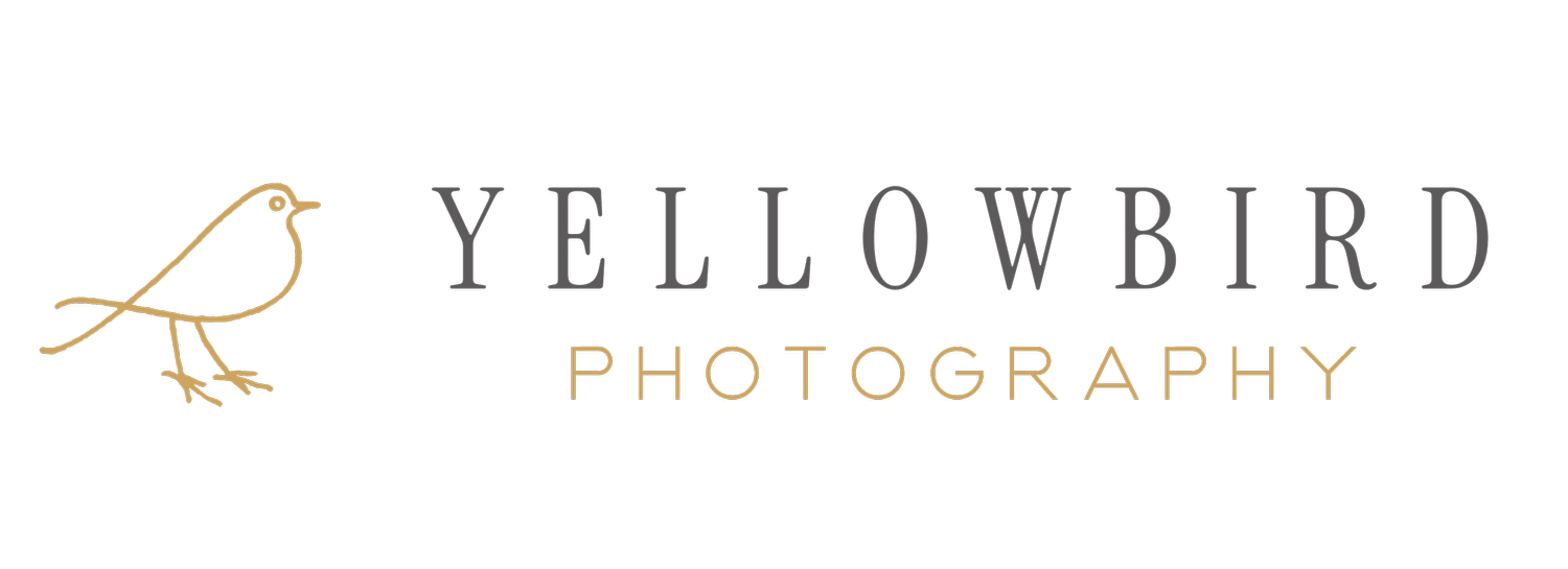 Yellowbird Photography