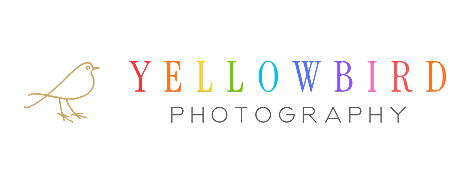 Yellowbird Photography