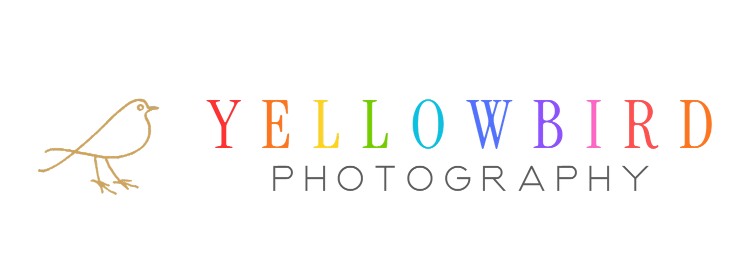 Yellowbird Photography