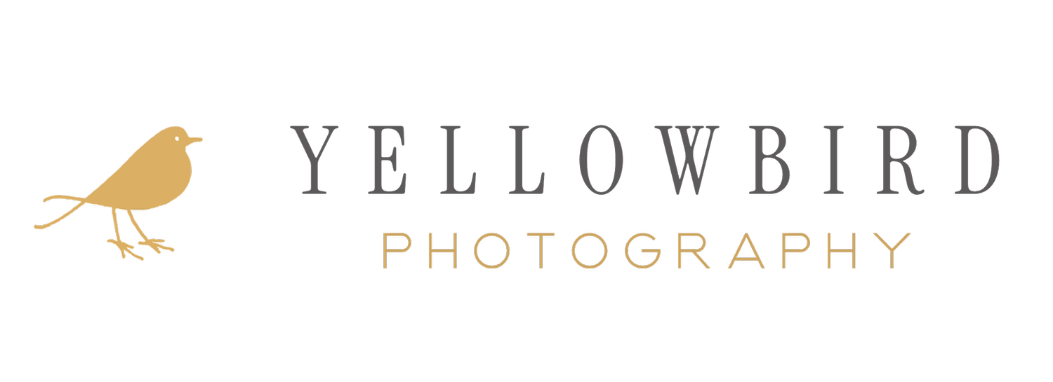 Yellowbird Photography
