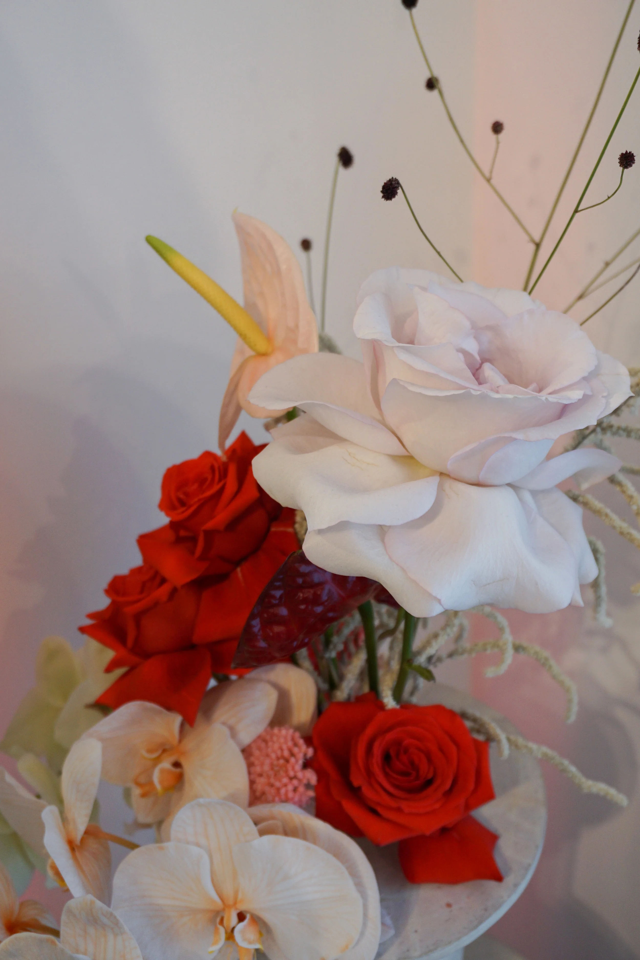DSC06803-2.jpg
