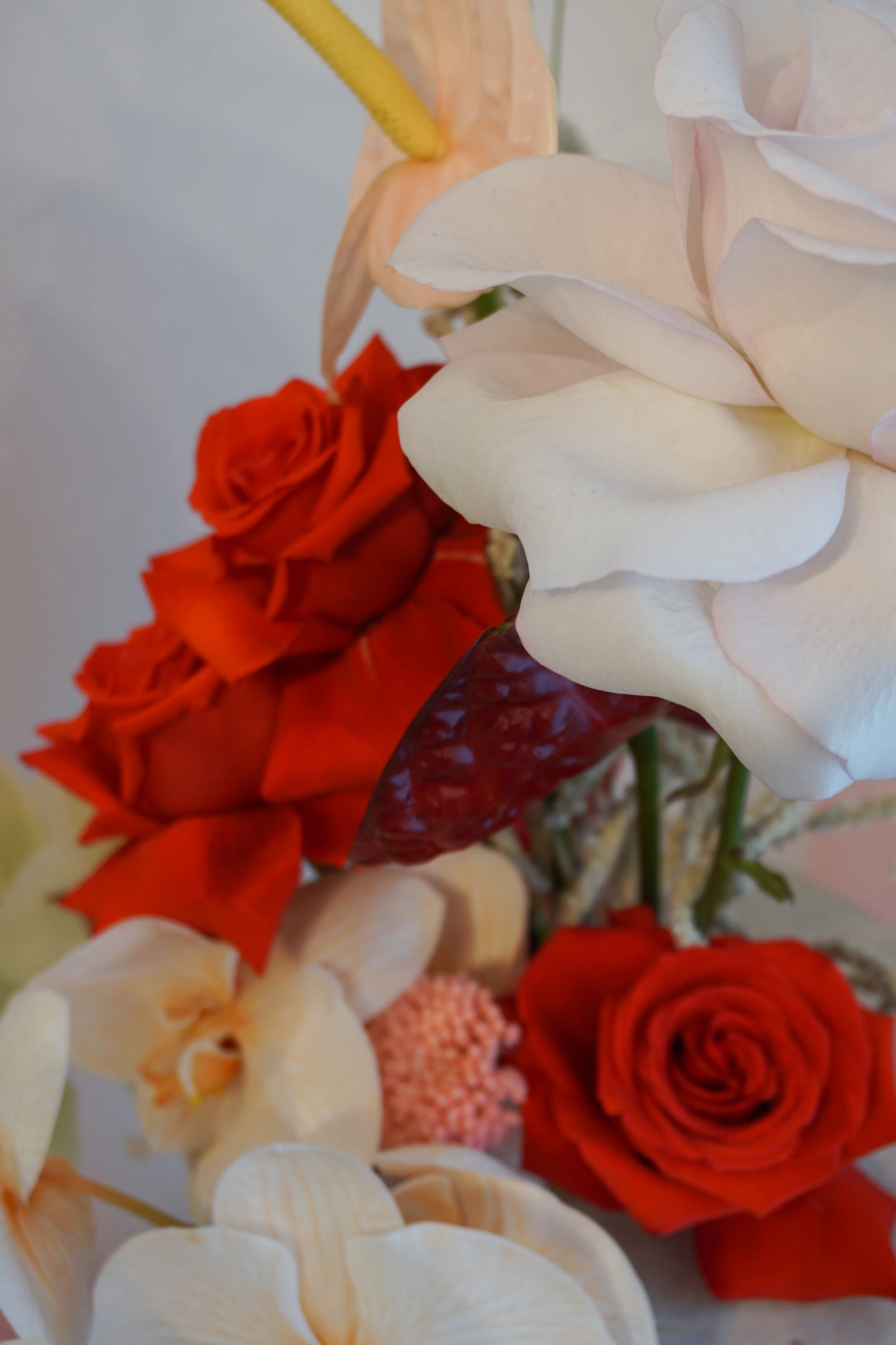 DSC06804.jpg