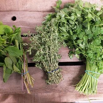 Fresh Herbs smaller.cacb59c4523d08080e61387cec35bccd.jpg
