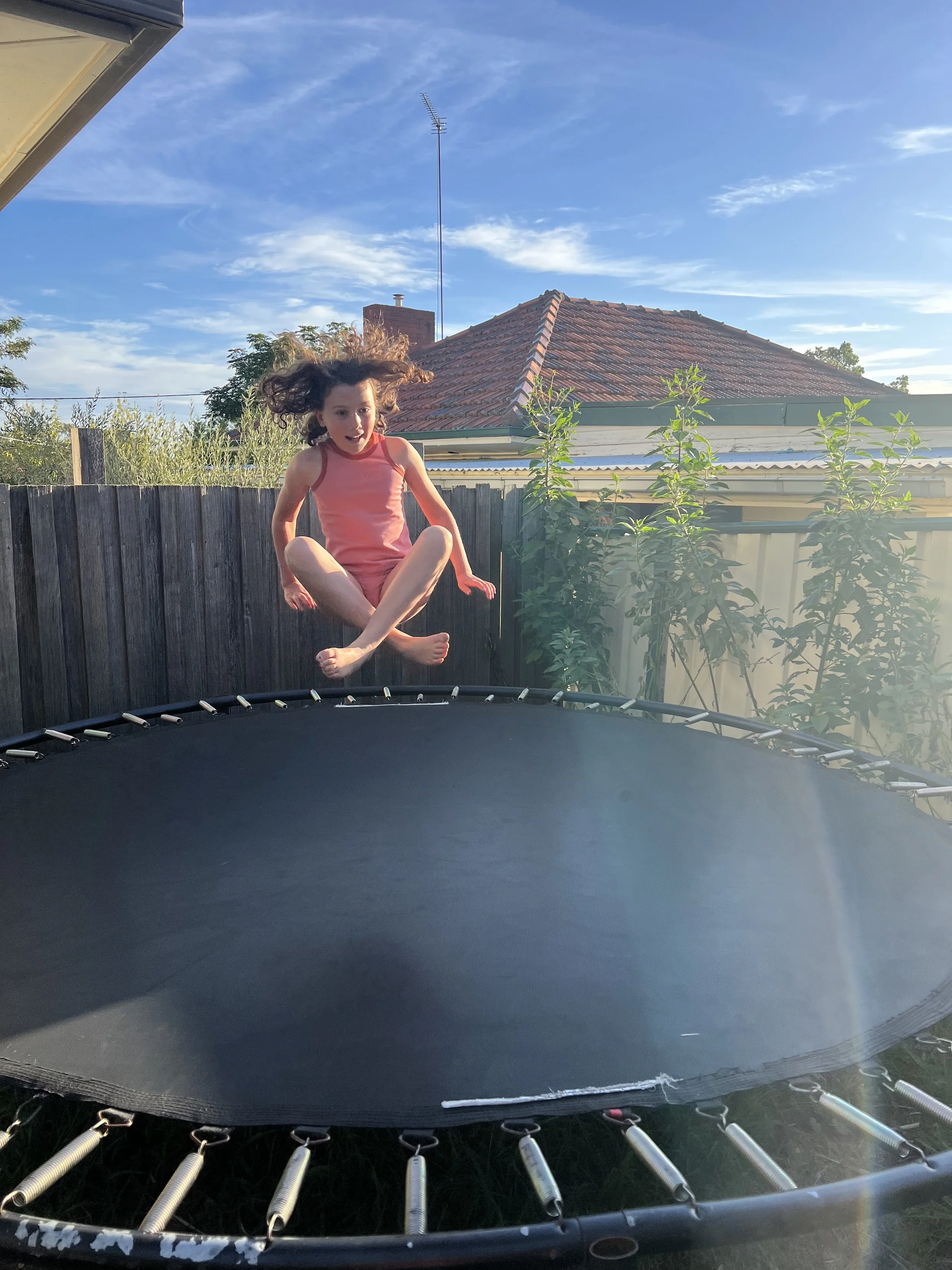 IMG_0586.jpeg (Copy)