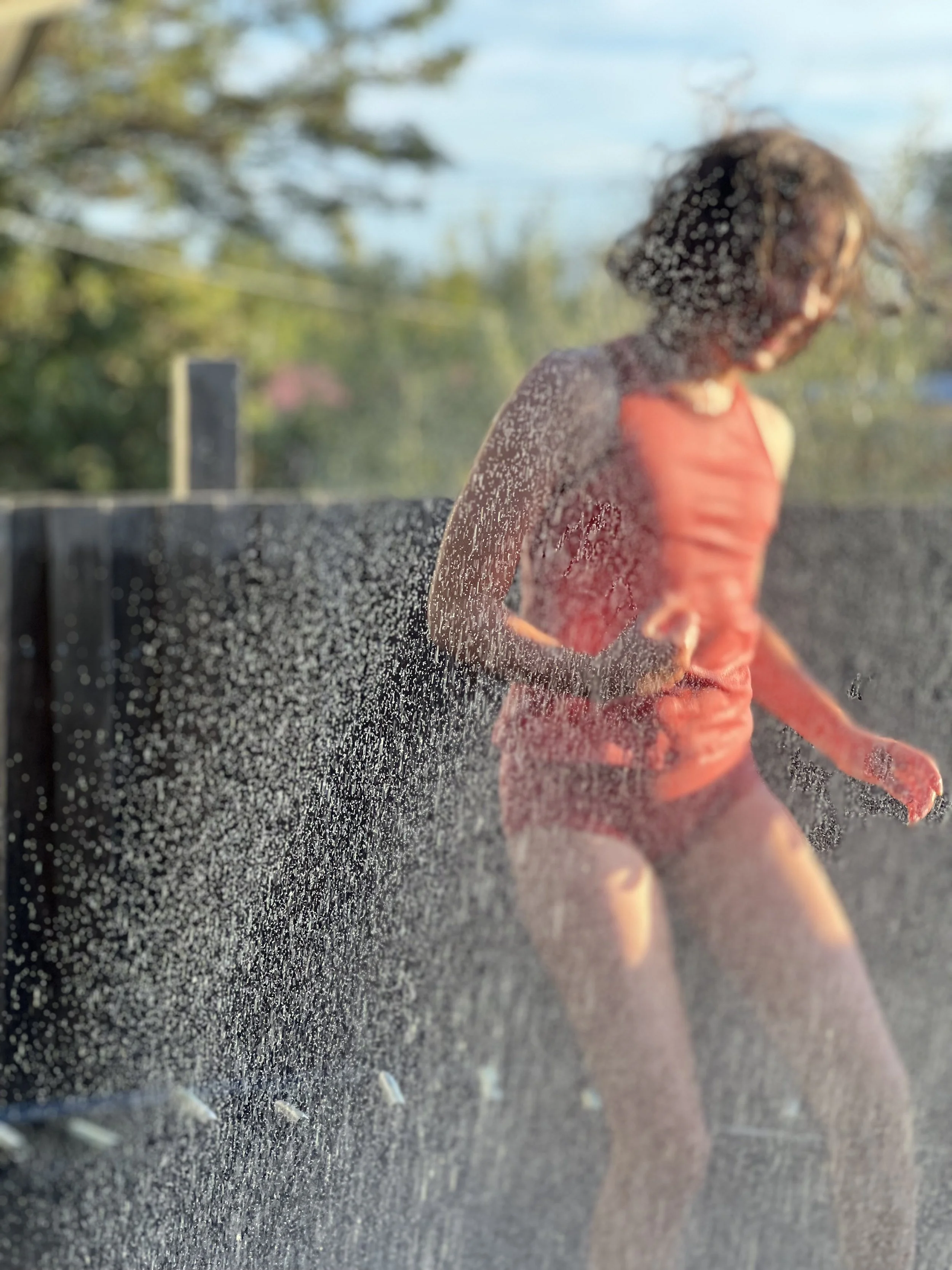 IMG_0626.jpeg (Copy)