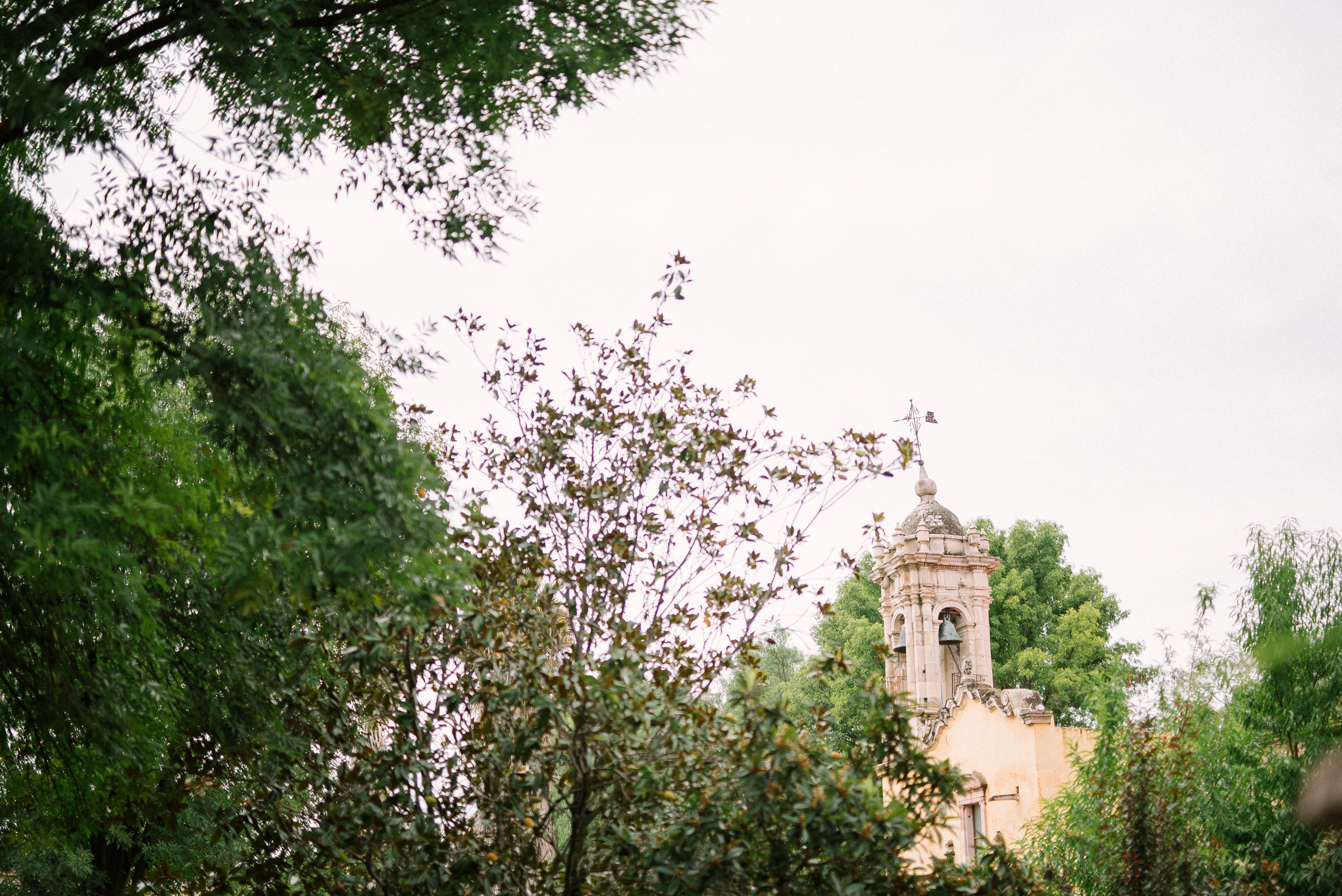 mexican wedding photographer in jalisco12.JPG