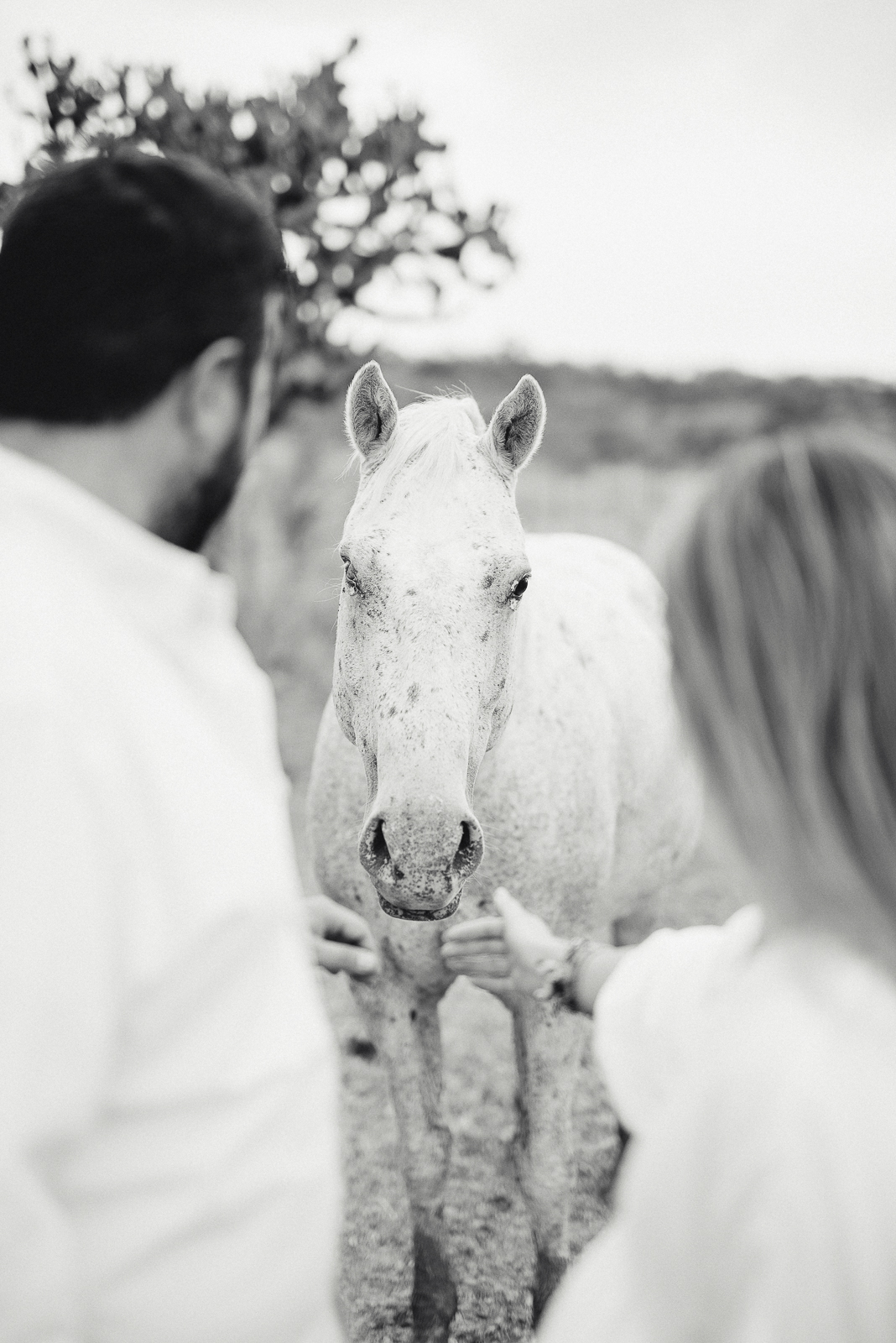 mexican destination wedding photographer0013.JPG