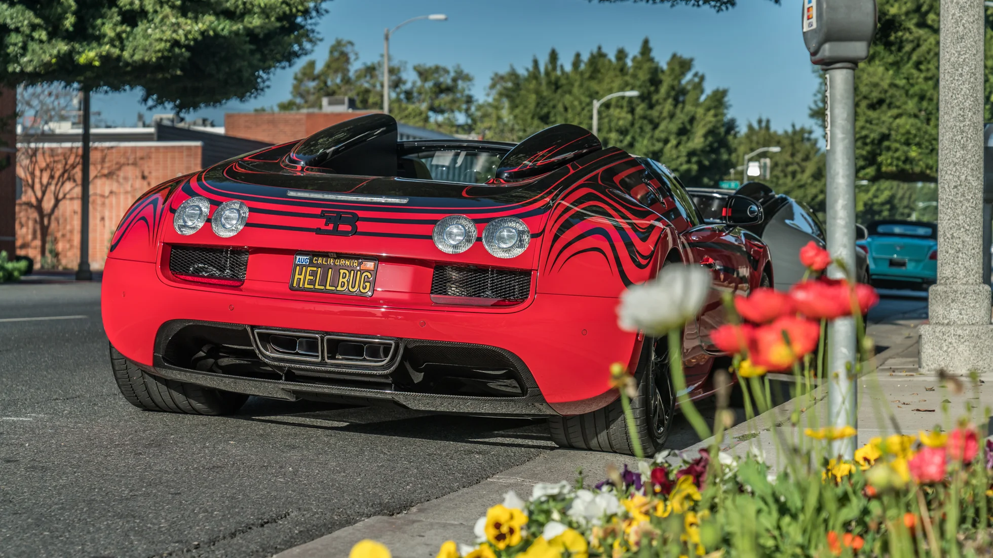 Sunset GT 1 Year-7.jpg