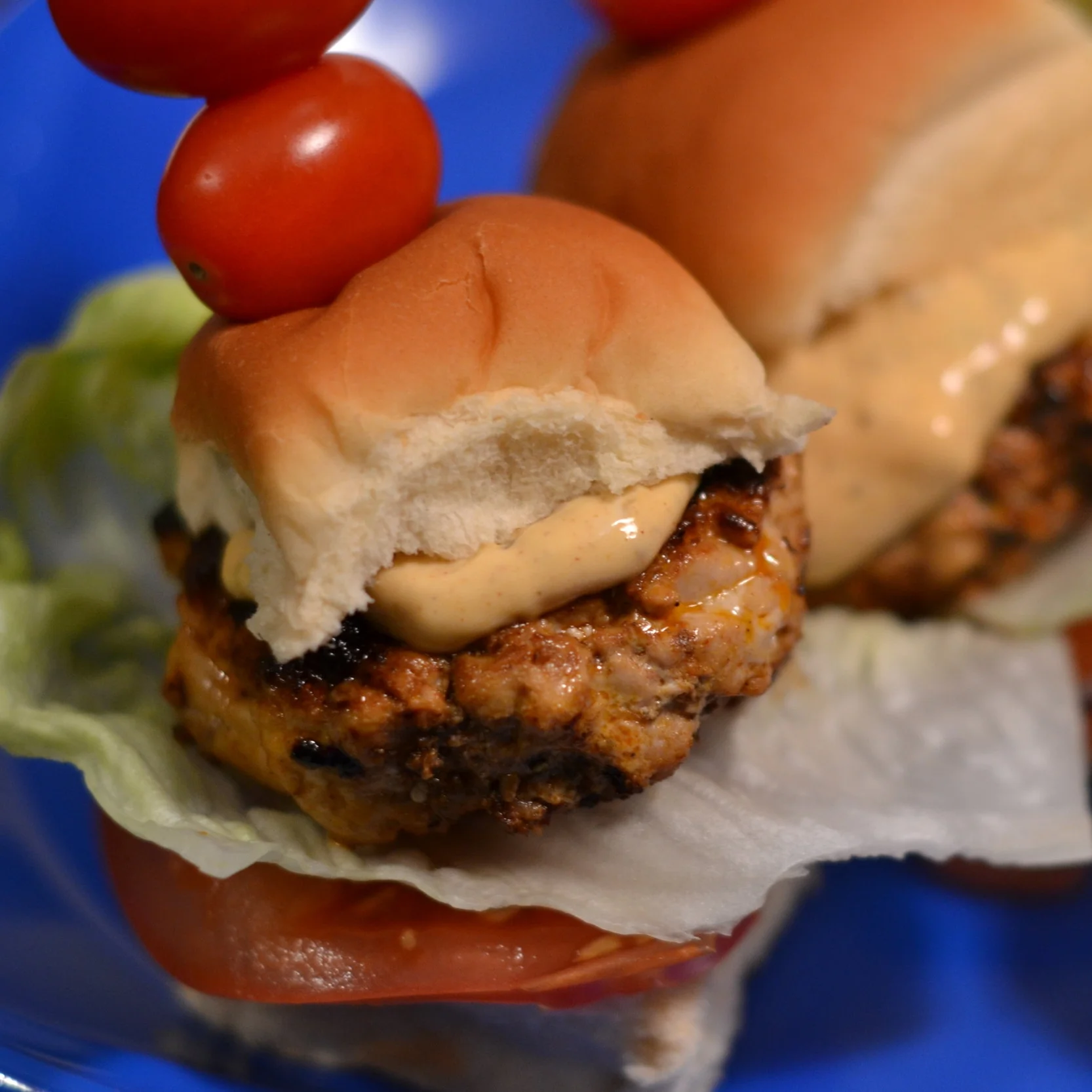 CHIMI TUNA OR SALMON BURGERS