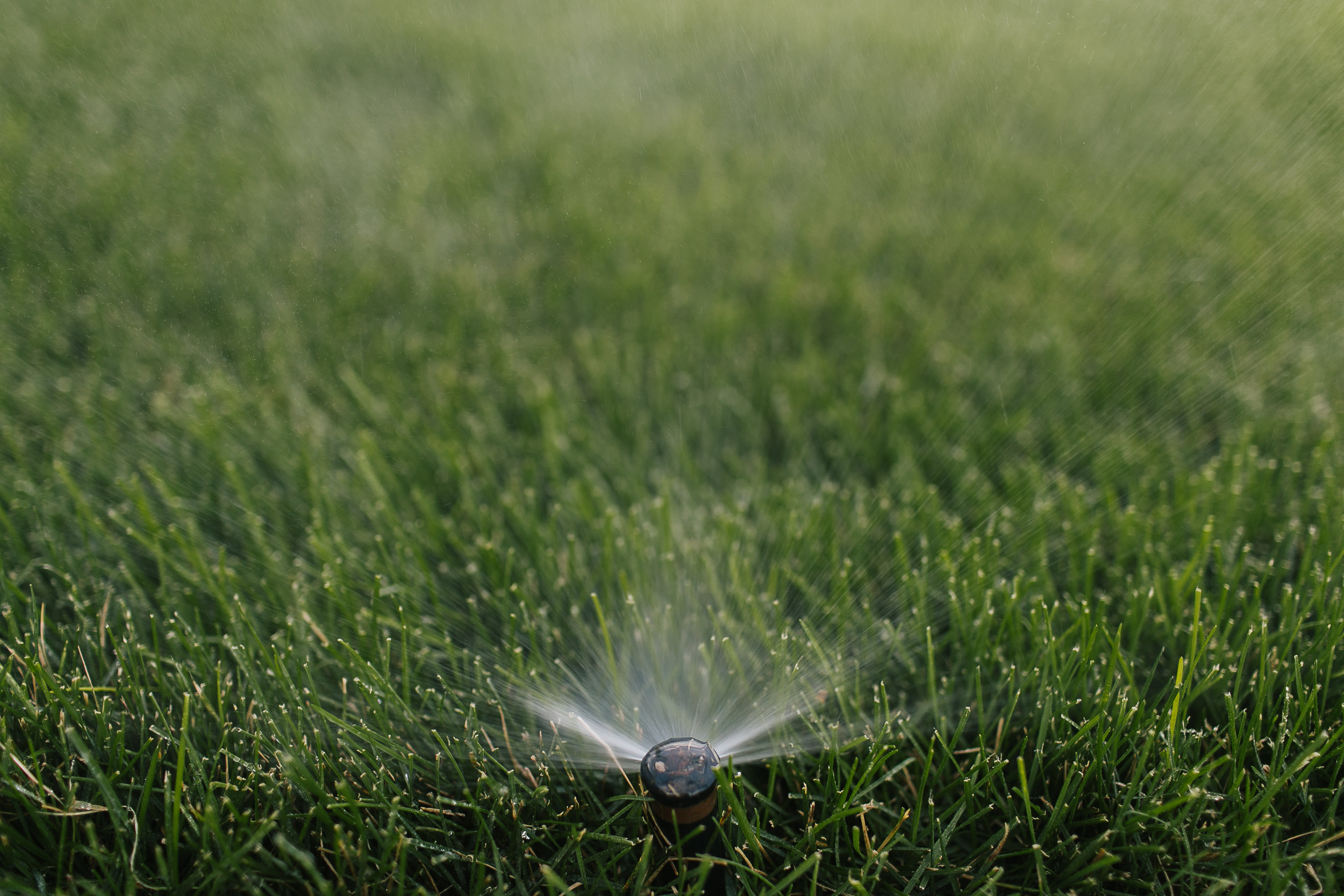all-green-irrigation-022.JPG