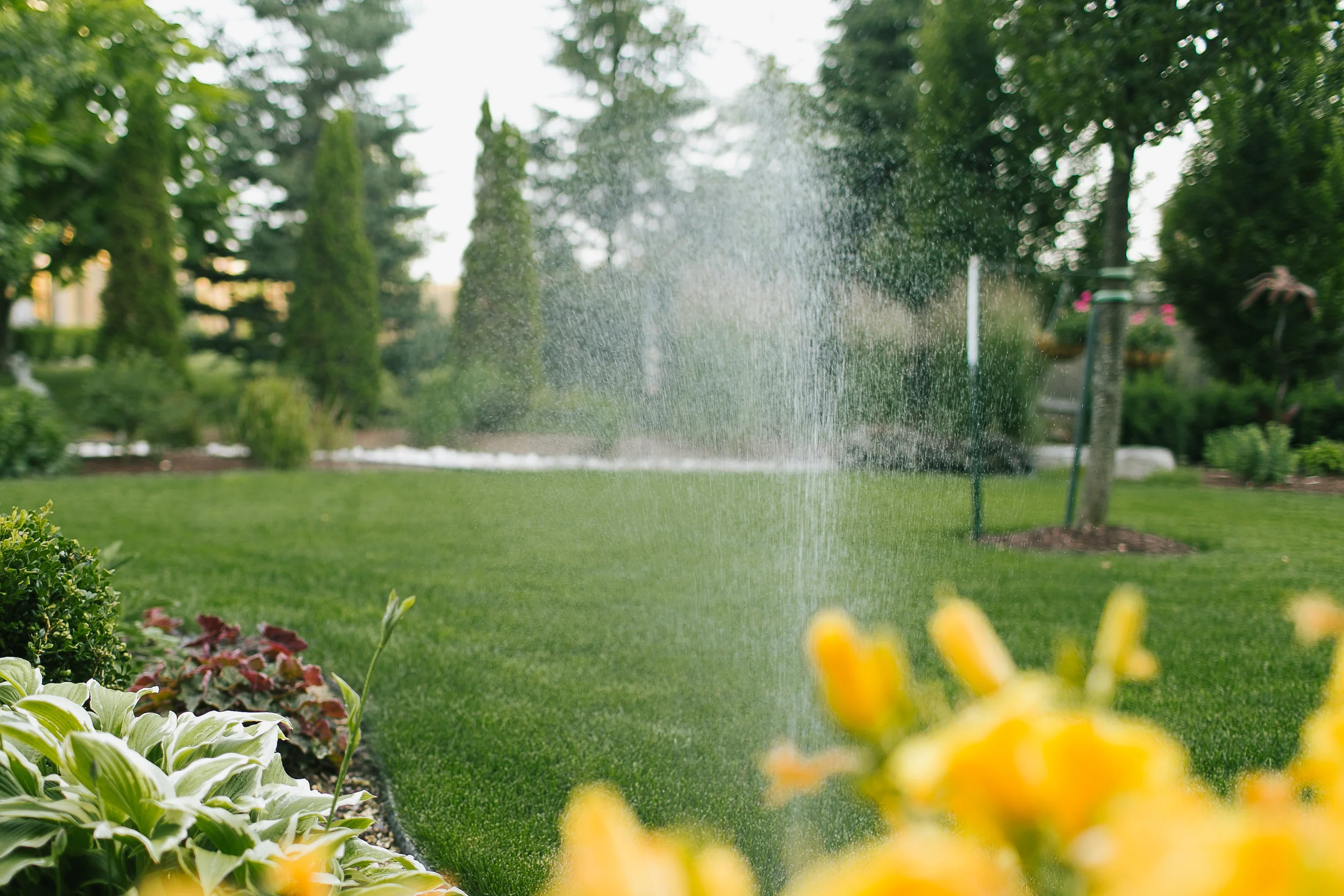 all-green-irrigation-007.JPG