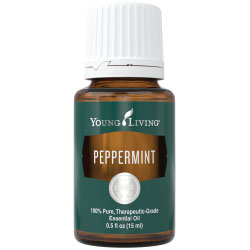 In Premium Starter Kit