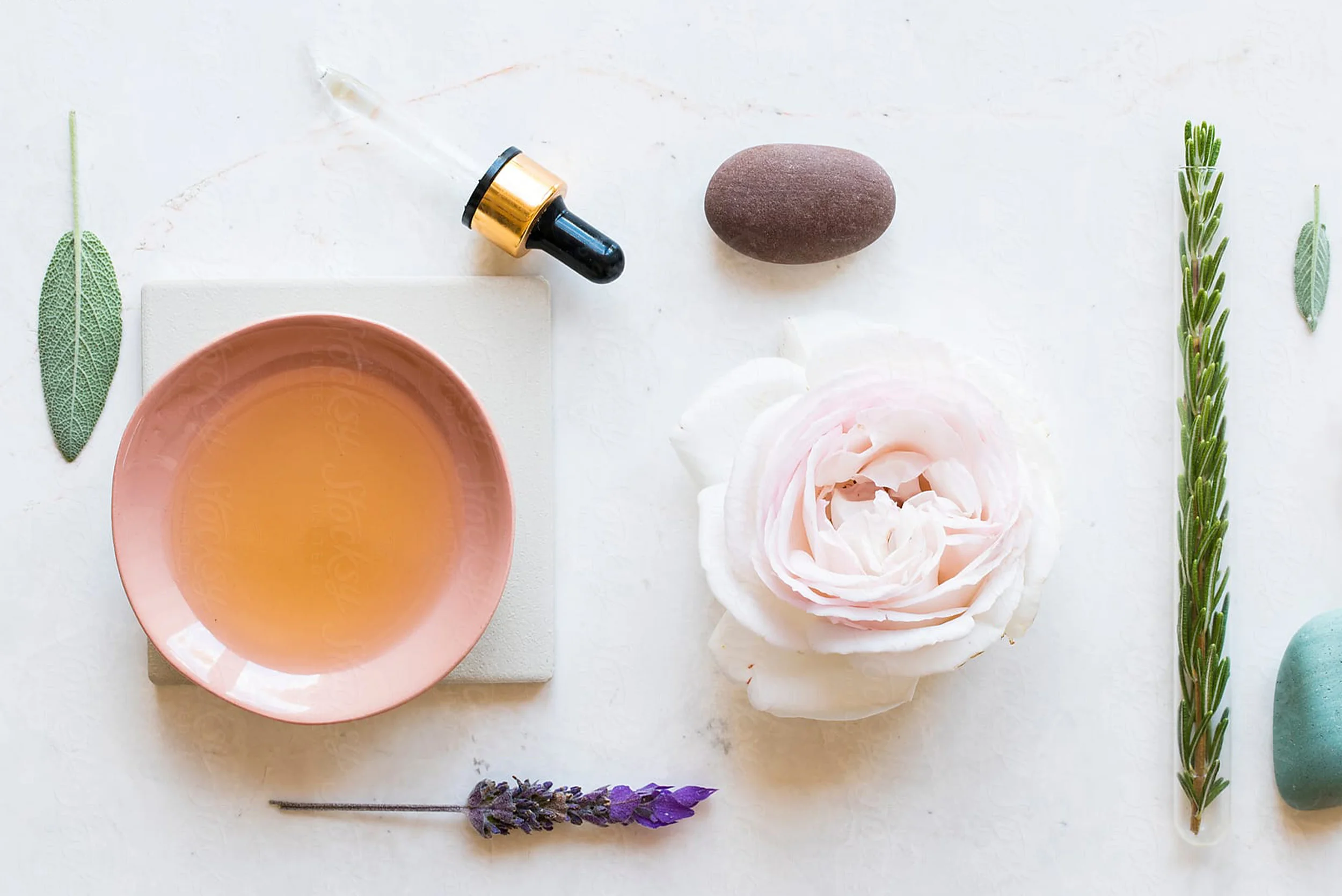 HalfWidthBanner_perfumev1.jpg