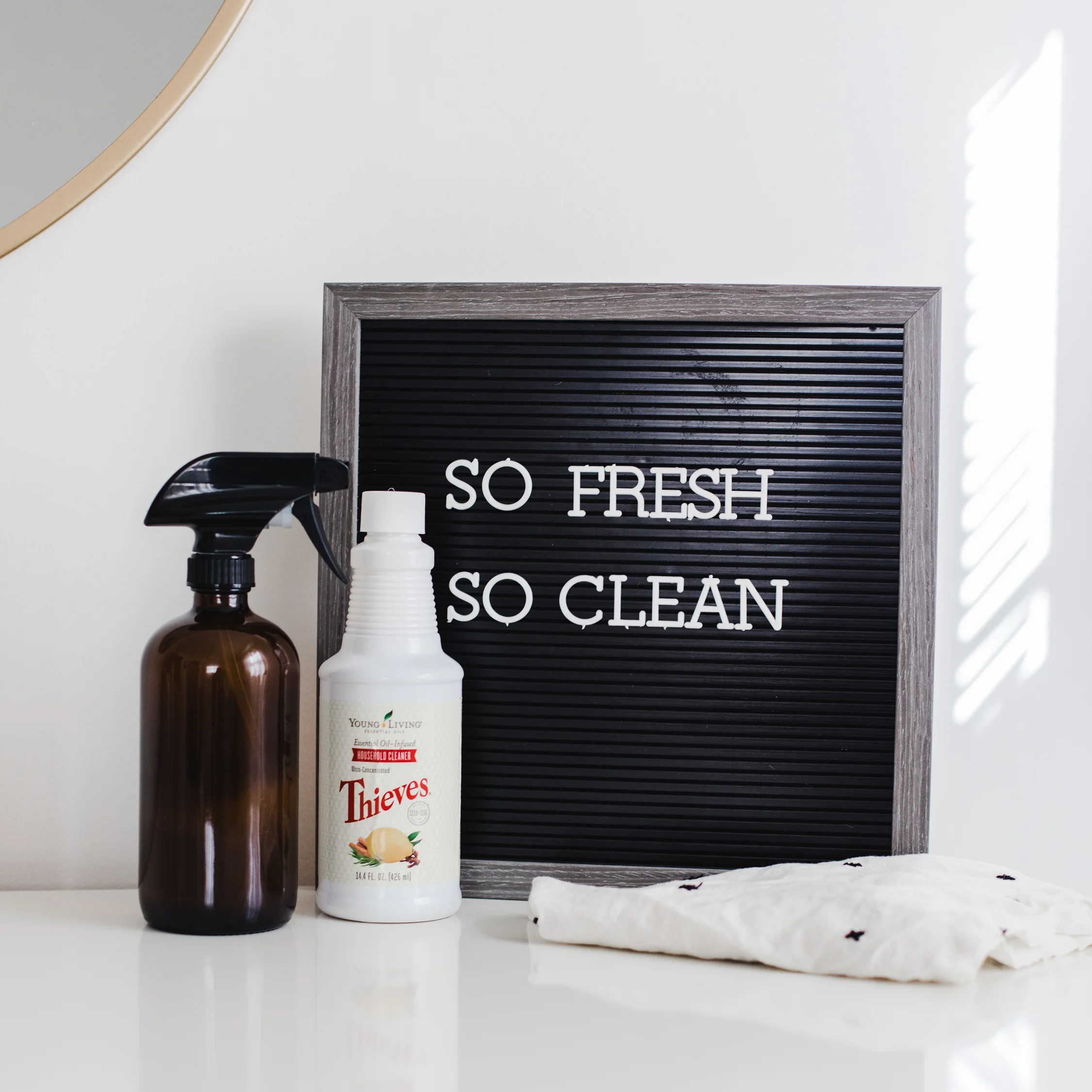 burch_ce-feed-ThievesCleaner2.jpg