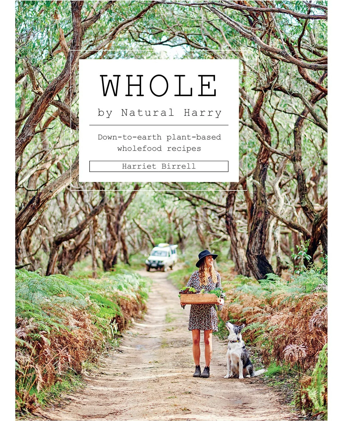 Whole+by+Harriet+Birrell.jpg