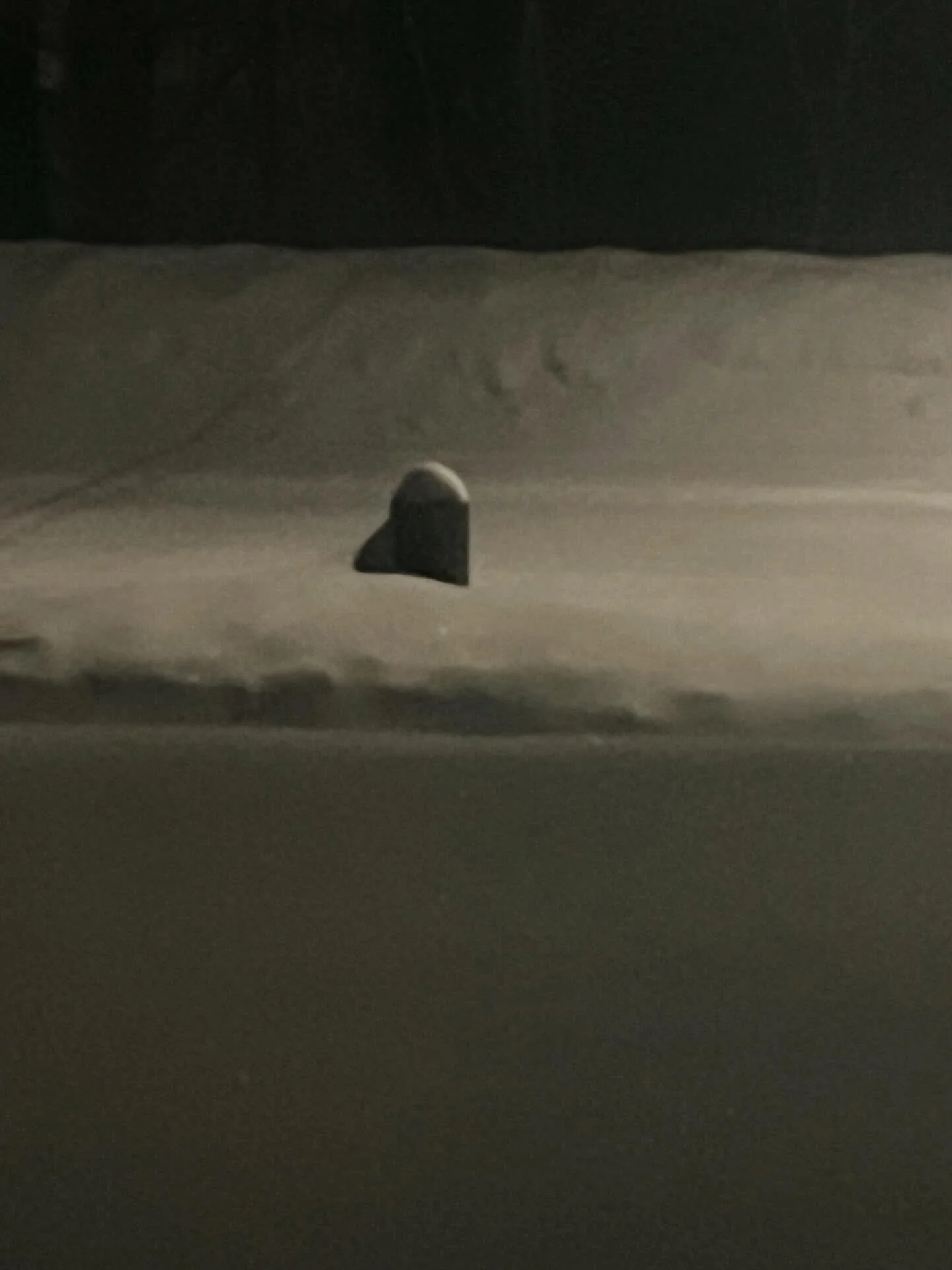 Our hitching posts will probably be buried come morning. We have about 20 inches so far and it&rsquo;s still snowing hard! ❄️ Stay safe and warm. 

#winterinnewengland #snowynight #januarysnow #newenglandwinter