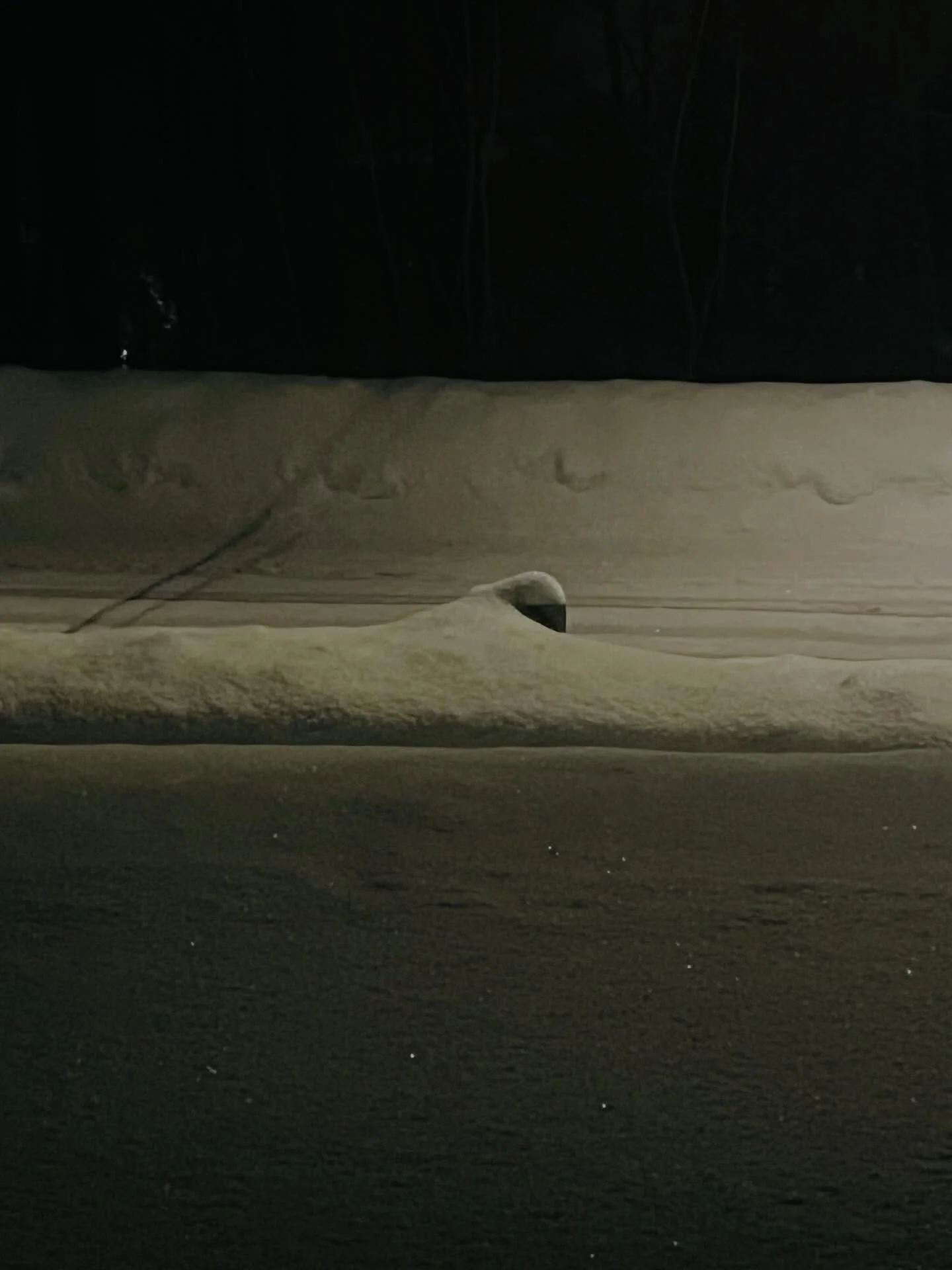 Still snowing ❄️

#winterinnewengland #oldhouselove #snowynight #newenglandlife #januarysnow