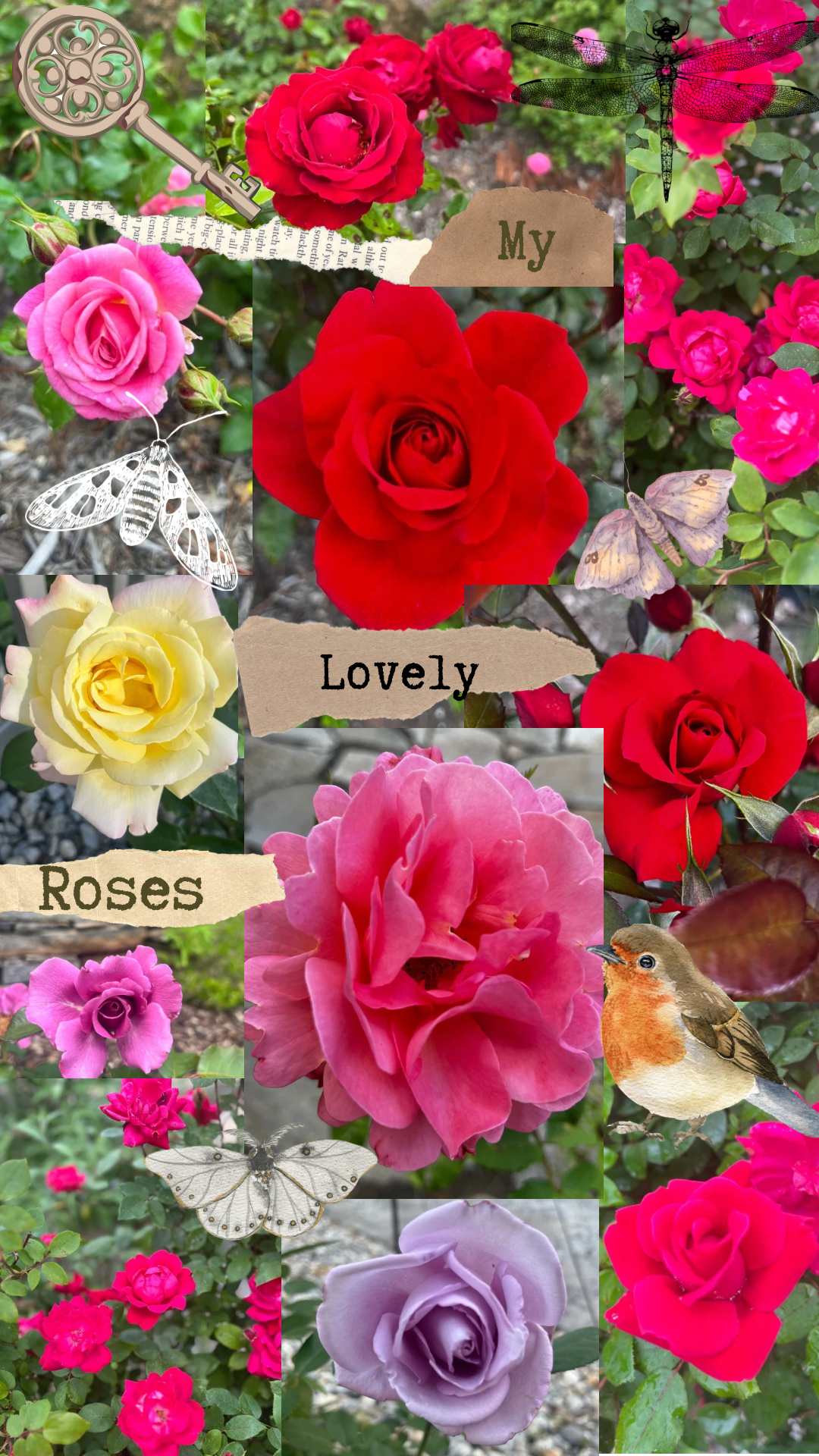 Issue 4: Through the Grating