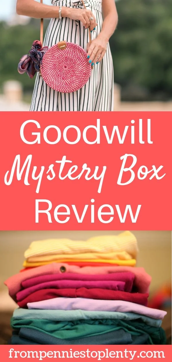 Goodwill Bluebox Mystery Box Review