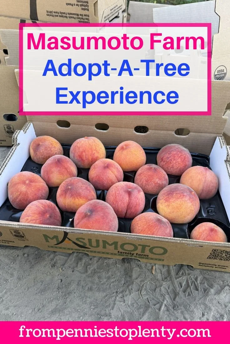 From Tree to Table: Our Masumoto Family Farm Adopt-A-Tree Experience