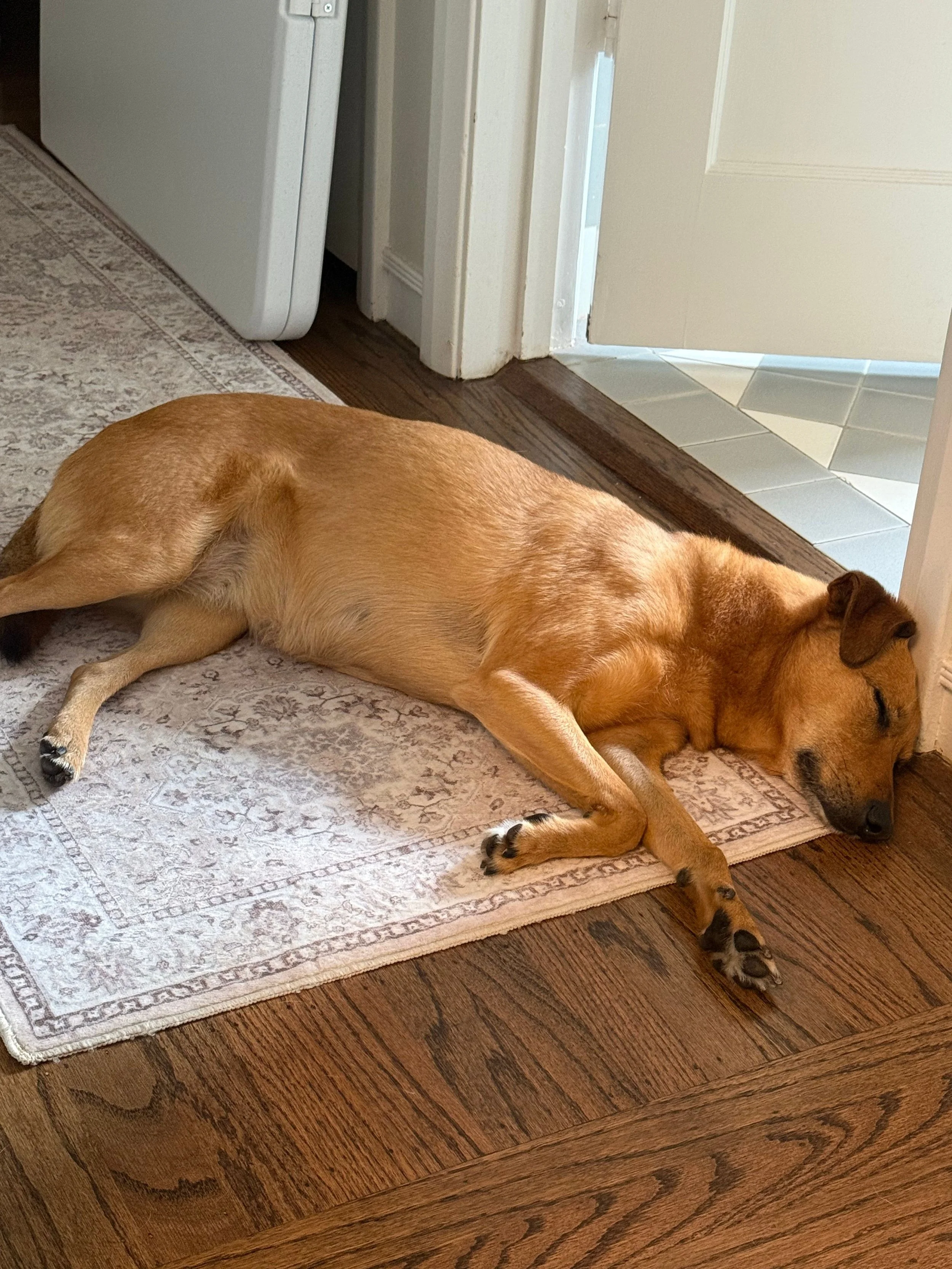 Little Notes: Coming Home