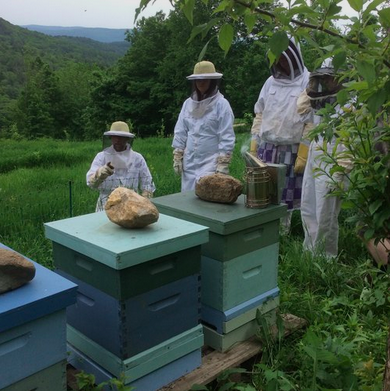 Beekeeping 101