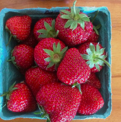 Home Canning For Fruit Preserves