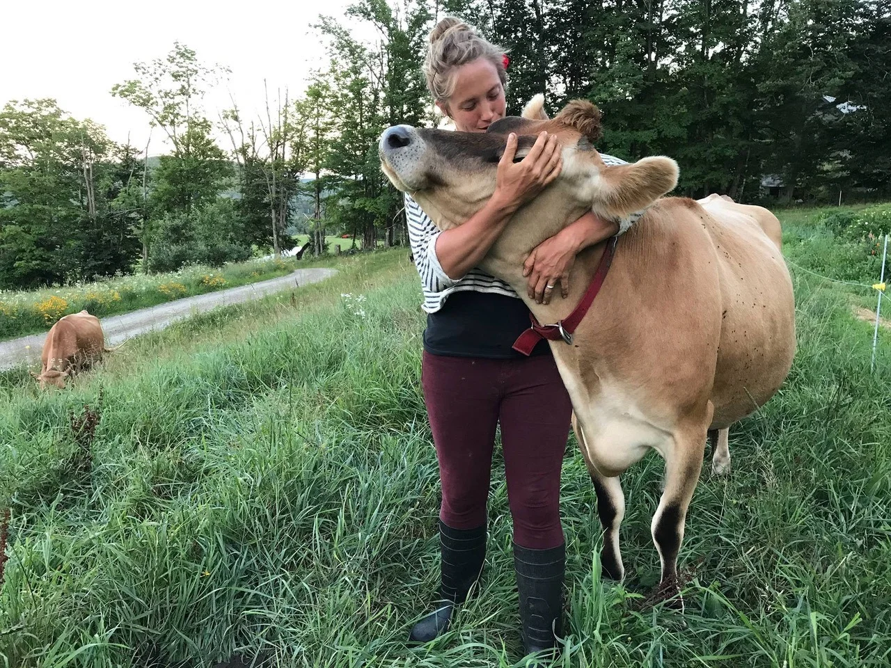 Home Cheese Making 101 at Scott Farm Orchard
