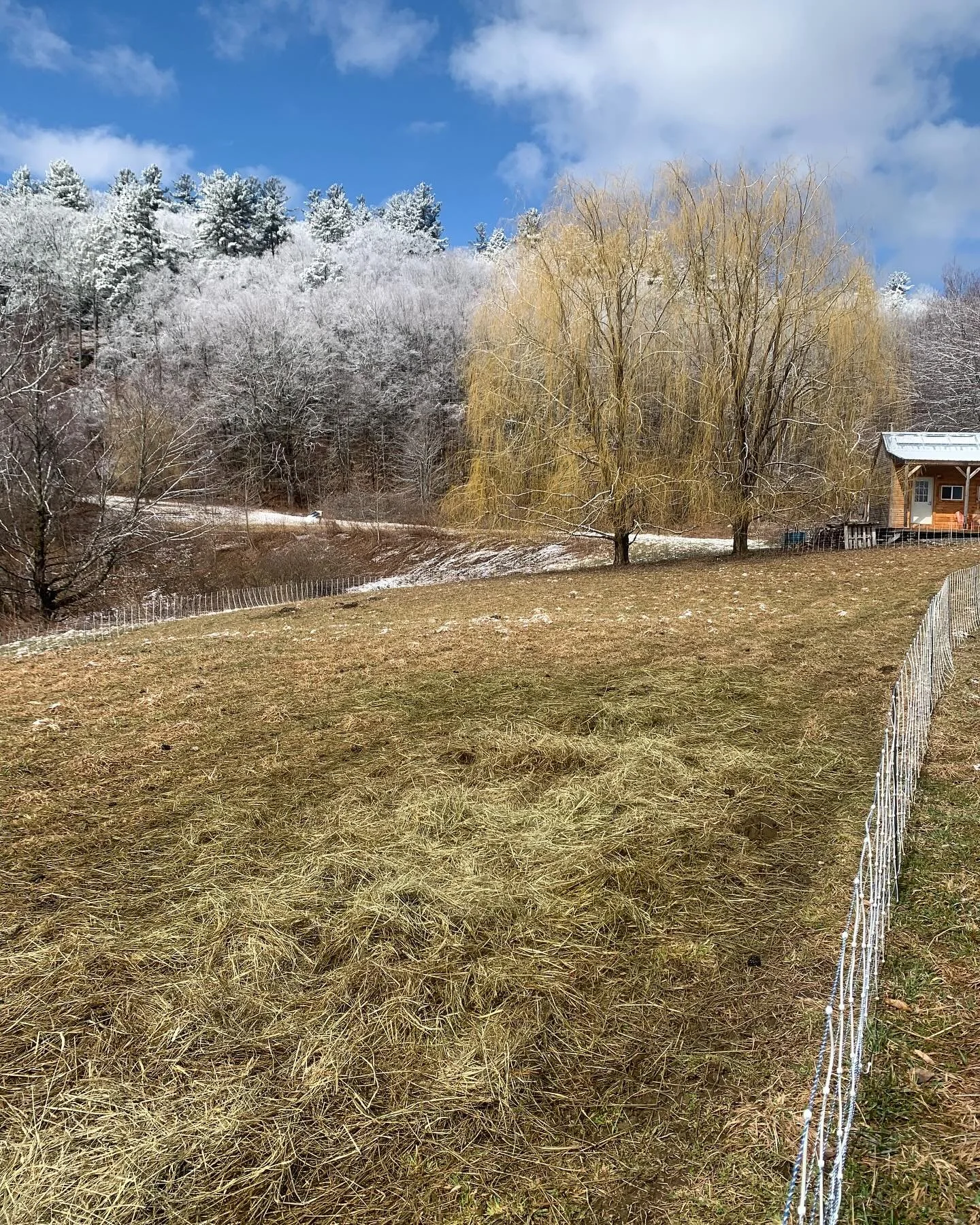 Come on spring come on spring come on spring 🌱🌱🌱🌱🌱🌱🌱🌱🌱🌱🌱