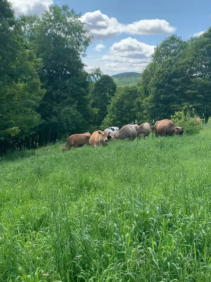 And now it&rsquo;s soft, buttery June. Fireflies, first glowing fruits of the year and high sun solstice are knocking at the door. We&rsquo;ve been climbing, climbing, climbing this solar mountain since its ascent began in late December, and it alway