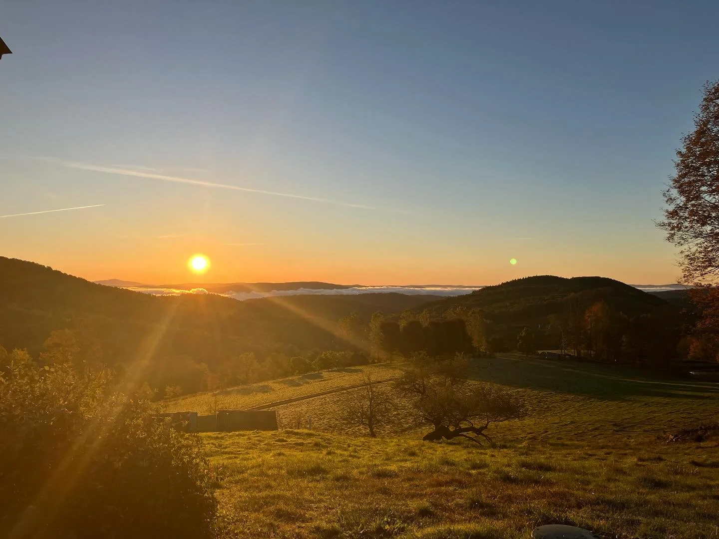 First frost came, and marks a diaphanous end to the growing season. The last round of broilers leave next week, the rest of the turkeys will be in the freezer soon, the woods are opening up and expanding and filling with light. It&rsquo;s almost, alm