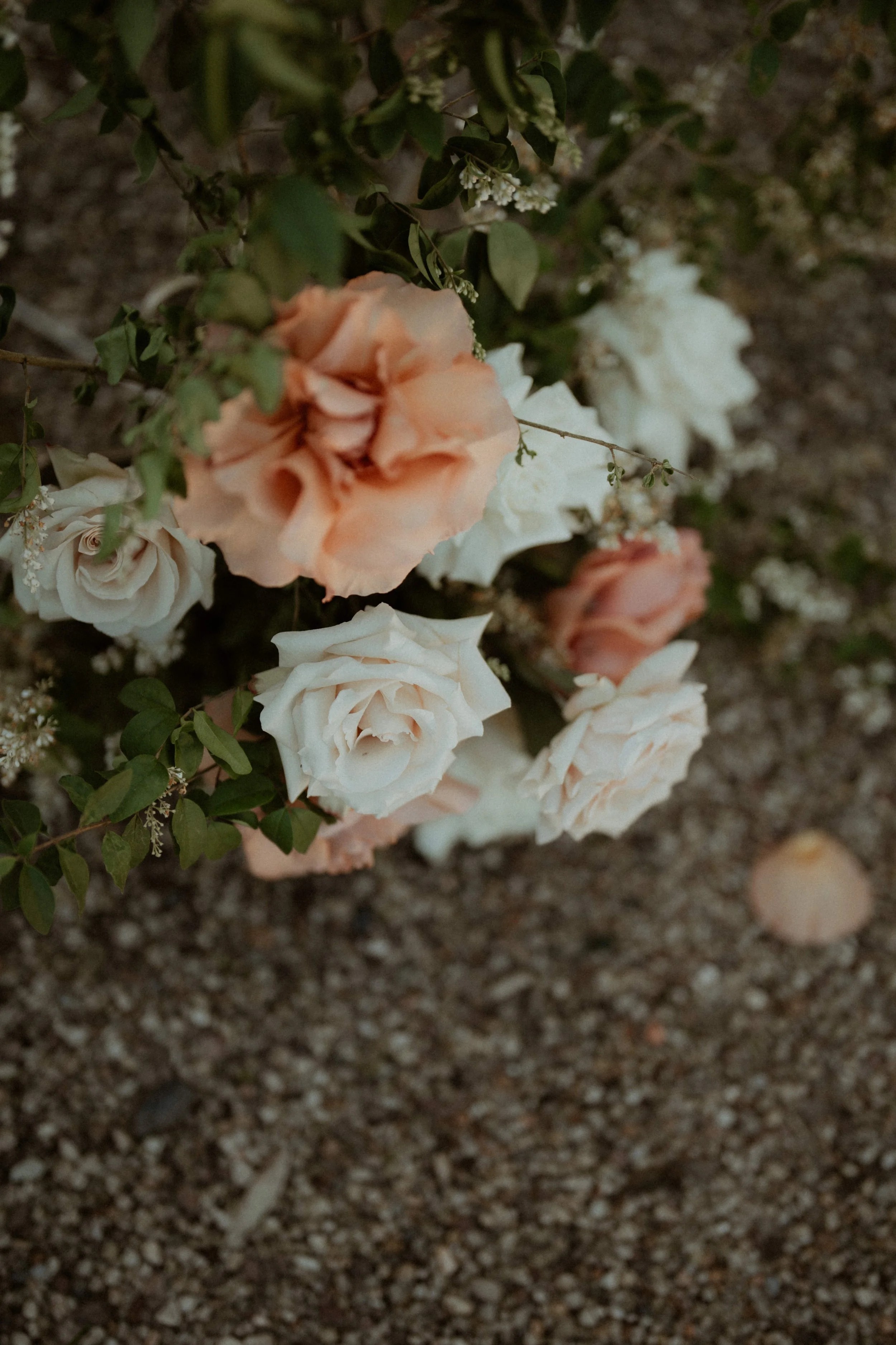 Mel&TyWedding_Ceremony_0213.jpg