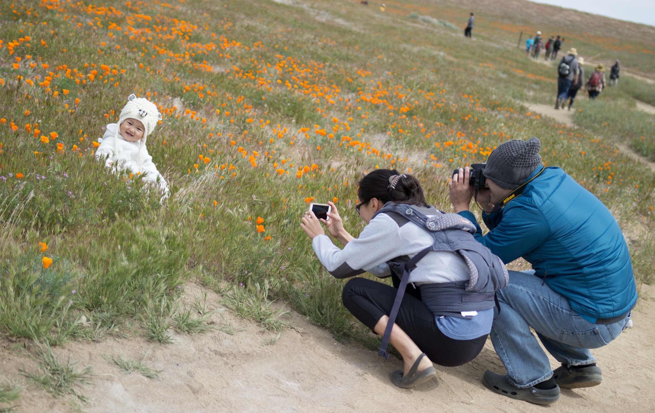  Parents photograph their child at the Antelope Valley Poppy Reserve in Antelope Valley California on April 8, 2017 at 11:19 AM (Photo By: Zane Meyer-Thornton 