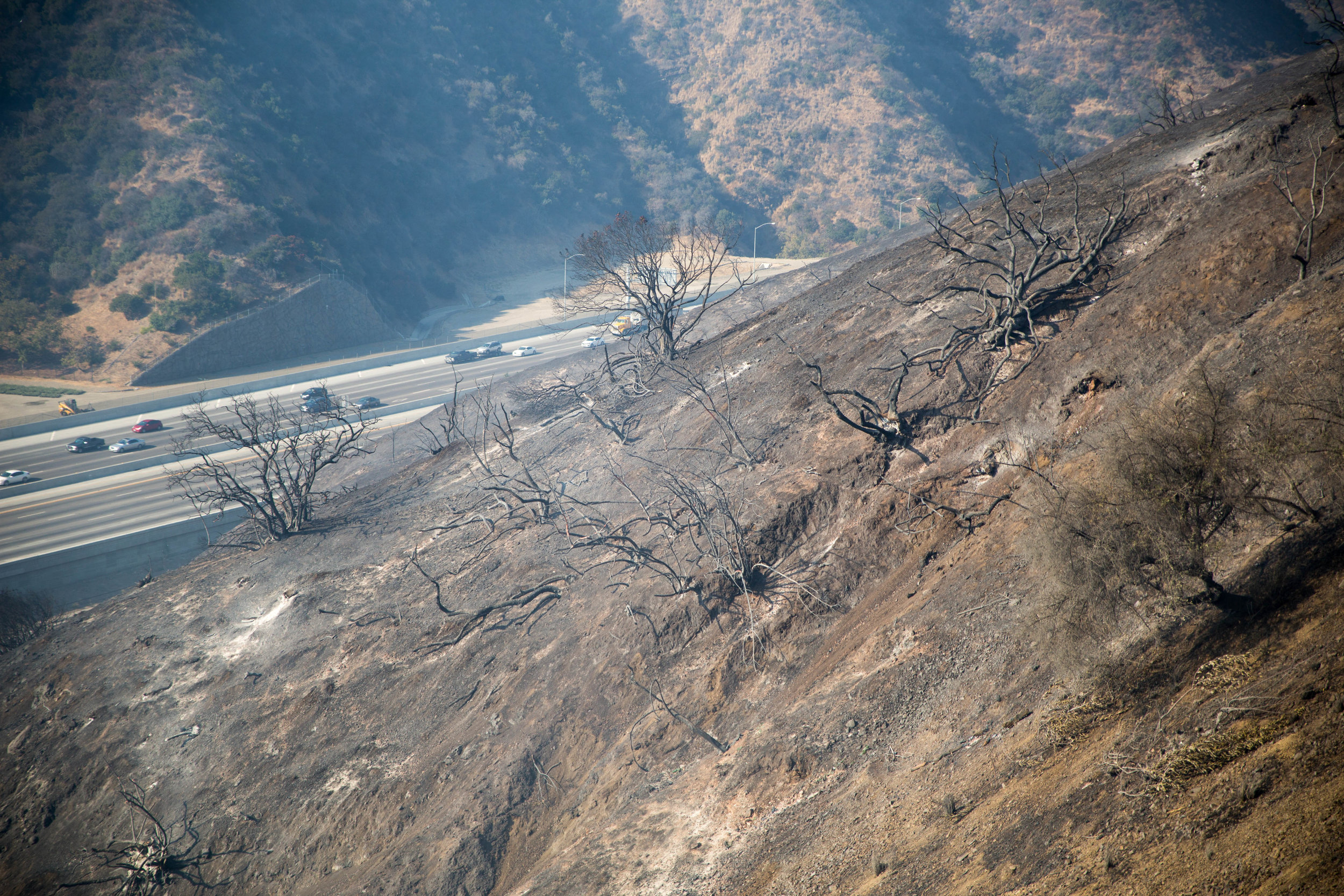  The 405 freeway is opened after the Skirball Fire burns through the hillside of Bel-Air near Getty View Park on Wednesday, December 6, 2017 in Los Angeles, California. (Jose Lopez) 