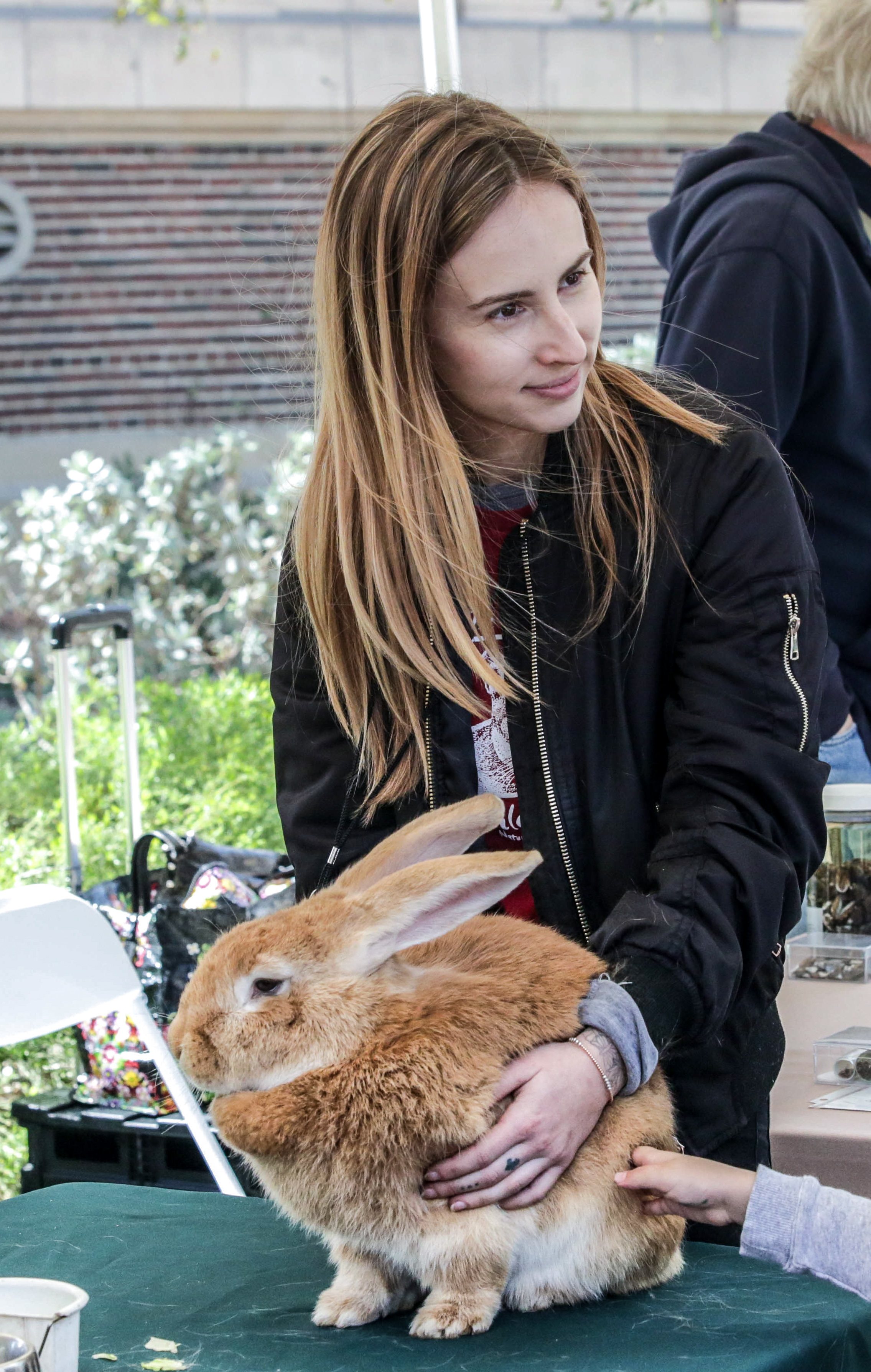  Alexis Kahn keeps hold of a Flemish Rabbit as lots of little hands reached out to pet the soft fur. The rabbit and other animals were on display at the Los Angeles Nature Fest at the Natural History Museum on the University of Southern California ca