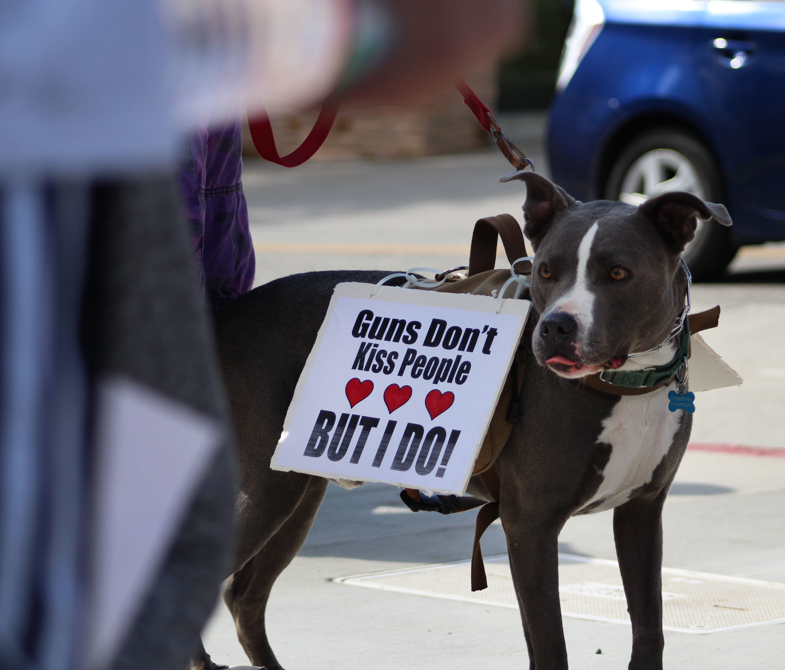 Santa Monica residents and dog gather to protest gun violence on Montana Avenue in Santa Monica, California. On Saturday, March 24, 2018. (Pyper Witt/Corsair Photo)